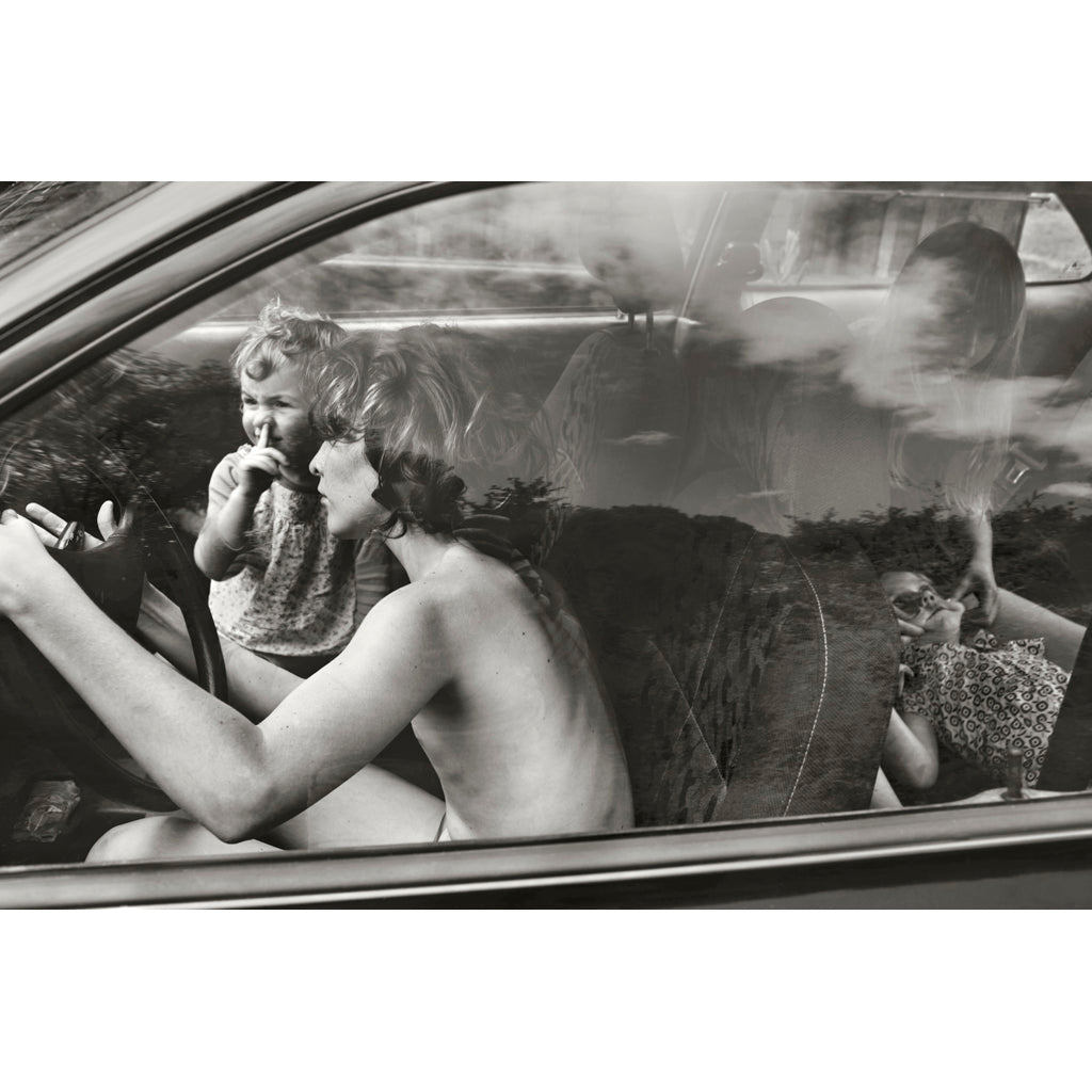 Reservoir chickens, 2011