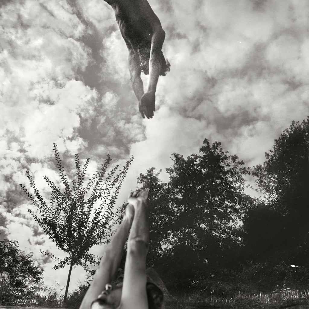 Plongeon, 2018