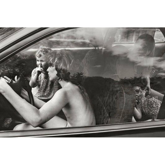 Reservoir chickens, 2011