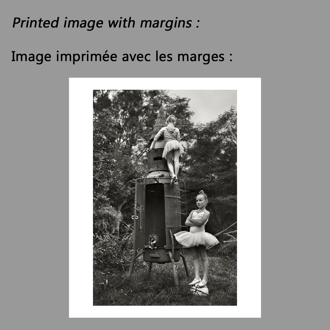 Printed image