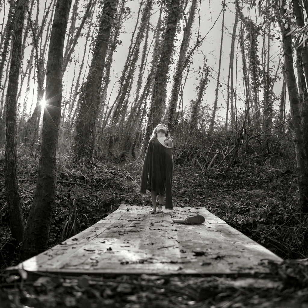 La forêt, 2016