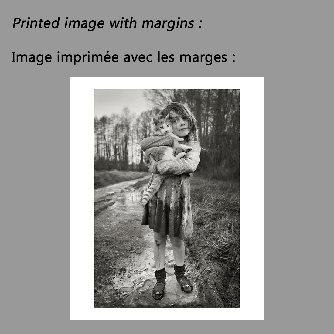 Printed image