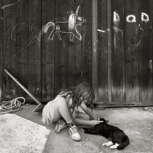 Dad's workshop, 2018